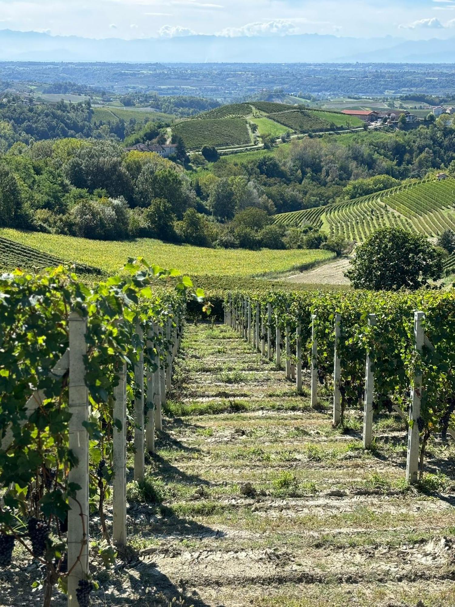 Appartamento "La Poesia Della Terra" Monforte dʼAlba Εξωτερικό φωτογραφία